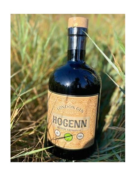 London gin HOGENN bio - Breizh'Cool