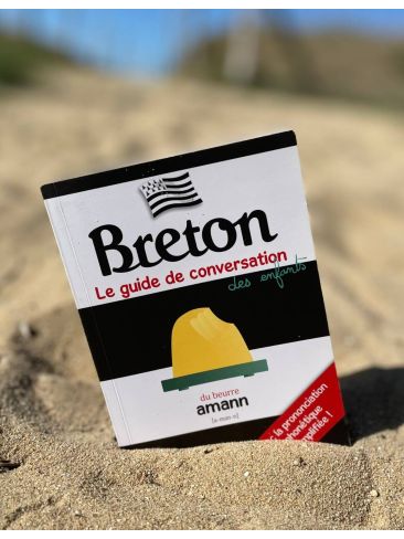 Livre - Breton Guide de conversation