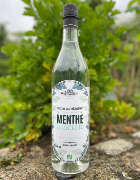 Menthe Givrée Bio - Warenghem