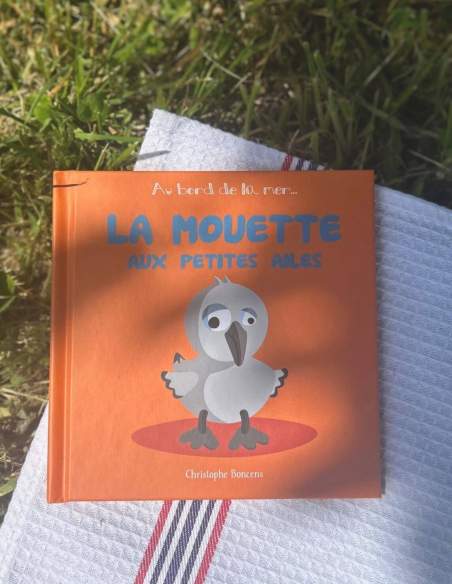 Au bord de la mer - La mouette aux petites ailes