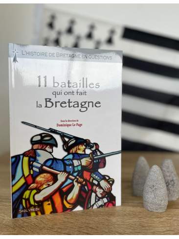 Livre - 11 batailles qui...