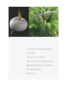 VIVE LES LÉGUMES !