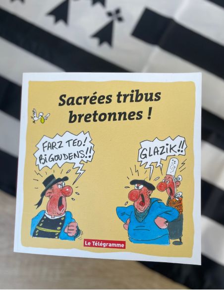 Livre - Sacrées Tribus Bretonnes !