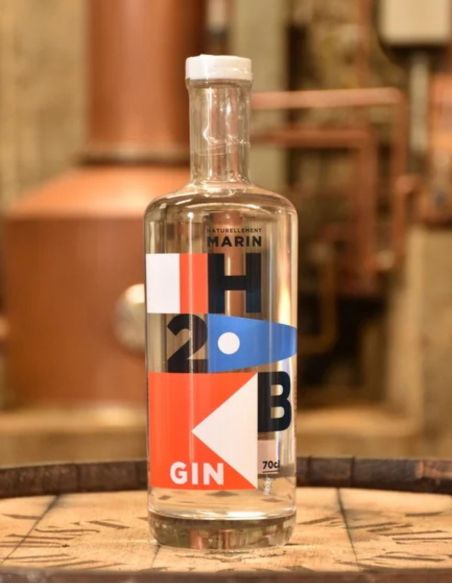 Gin H2B