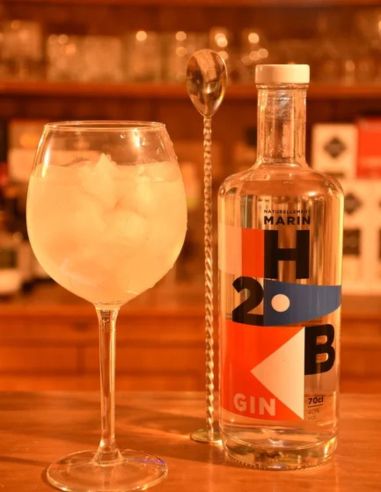 Gin H2B