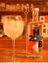 Gin H2B