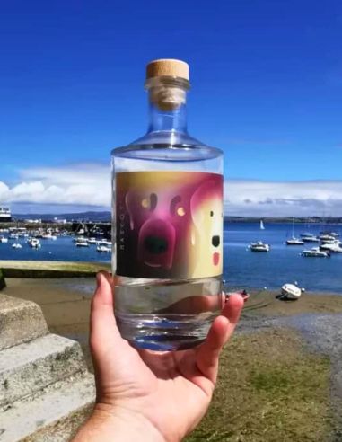 Gin distillé de saison MASCOT'- Mammenn
