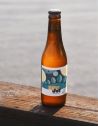 Kombucha Citron/Menthe/Timut - Little Joy