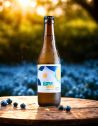 Kombucha Myrtille/Bergamote - Little Joy