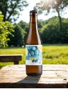 Kombucha Citron/Menthe/Timut - Little Joy