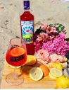 Saint-Malo Spritz Original - 70cl

Saint-Malo Spritz Original - 70cl
