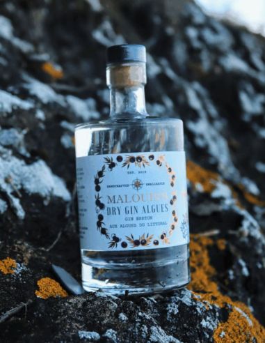 Ginebra Original Malouin's