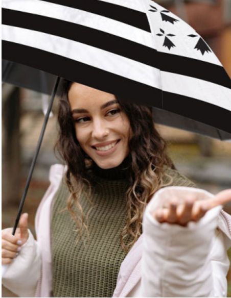 Parapluie - Drapeau breton
