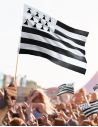 Petit drapeau breton Gwenn ha Du avec manche