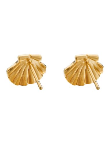 Boucles d'oreilles puces | Coquille Saint-Jacques