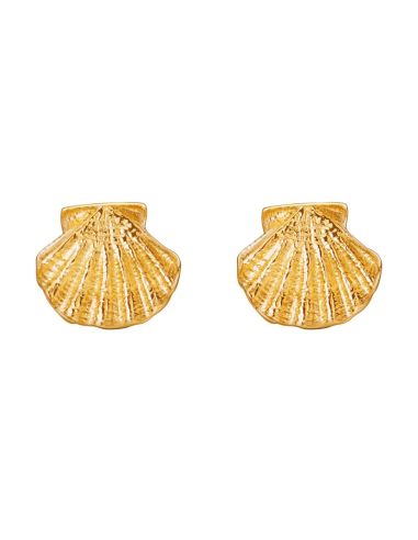 Boucles d'oreilles puces | Coquille Saint-Jacques