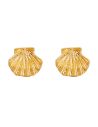 Boucles d'oreilles puces | Coquille Saint-Jacques