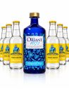 Pack Gin Oriant 50 cl + 6 tonics Pondichéry