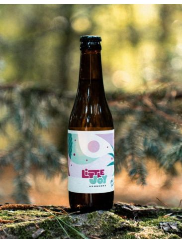 Kombucha Maté Galanga - Little Joy
