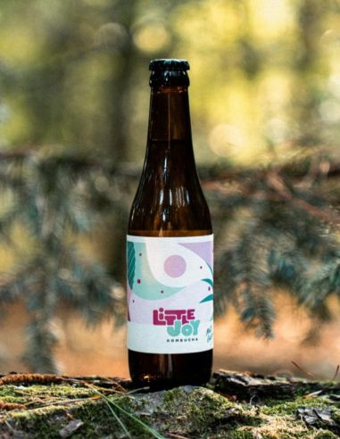 Kombucha Maté Galanga - Little Joy
