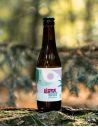Kombucha Maté Galanga - Little Joy