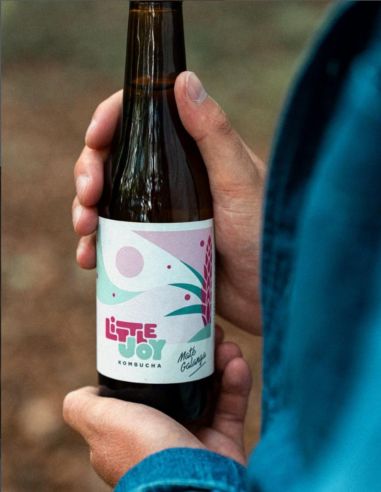Kombucha Maté Galanga - Little Joy