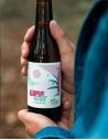 Kombucha Maté Galanga - Little Joy