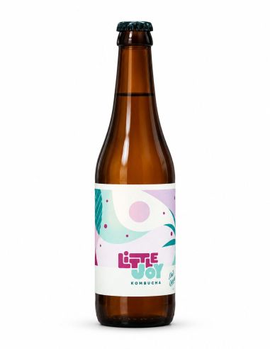 Kombucha Maté Galanga - Little Joy